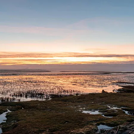 Seehund By Interhome Norddeich (Norden)