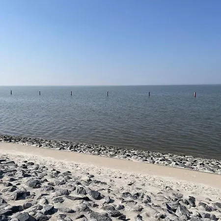 Seehund By Interhome *