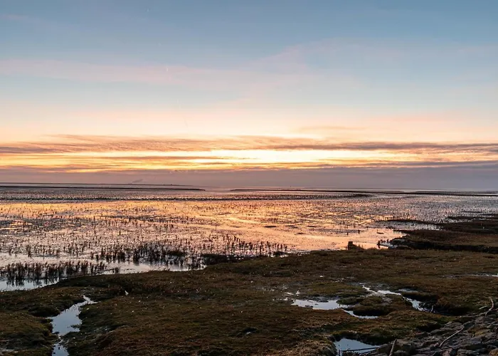 Seehund By Interhome نورديش