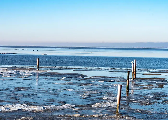 Seehund By Interhome * نورديش